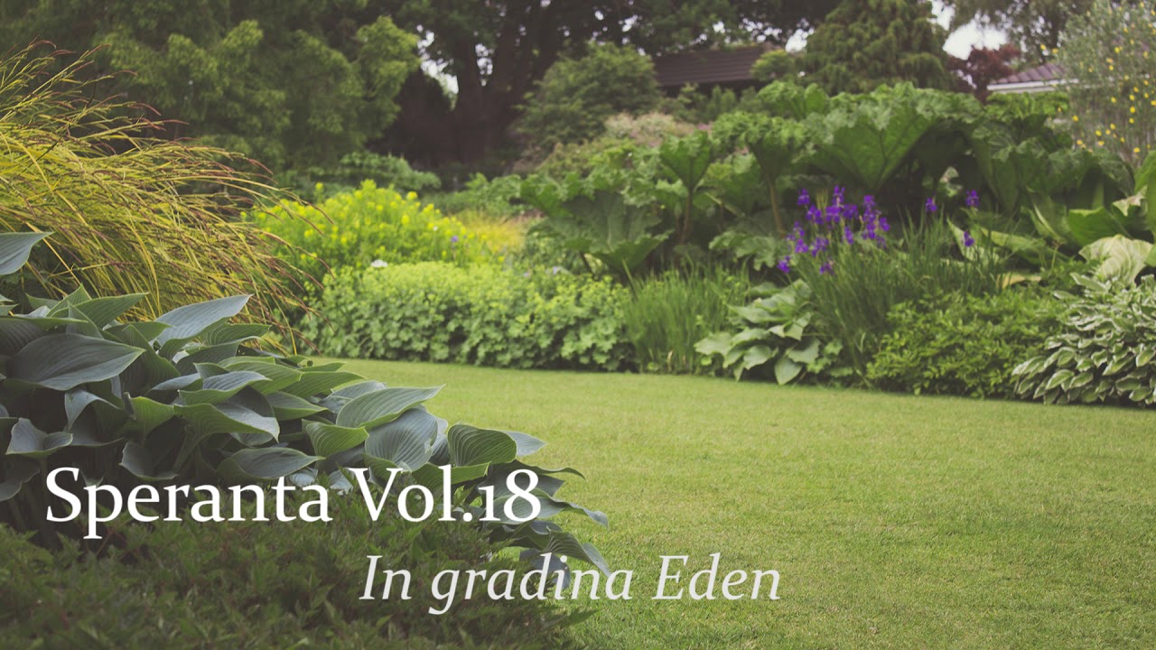 Speranta - In gradina Eden - Marius Gorcea