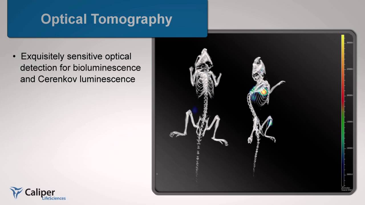 IVIS Spectrum microCT-Integrated premier optical imaging and low dose microCT