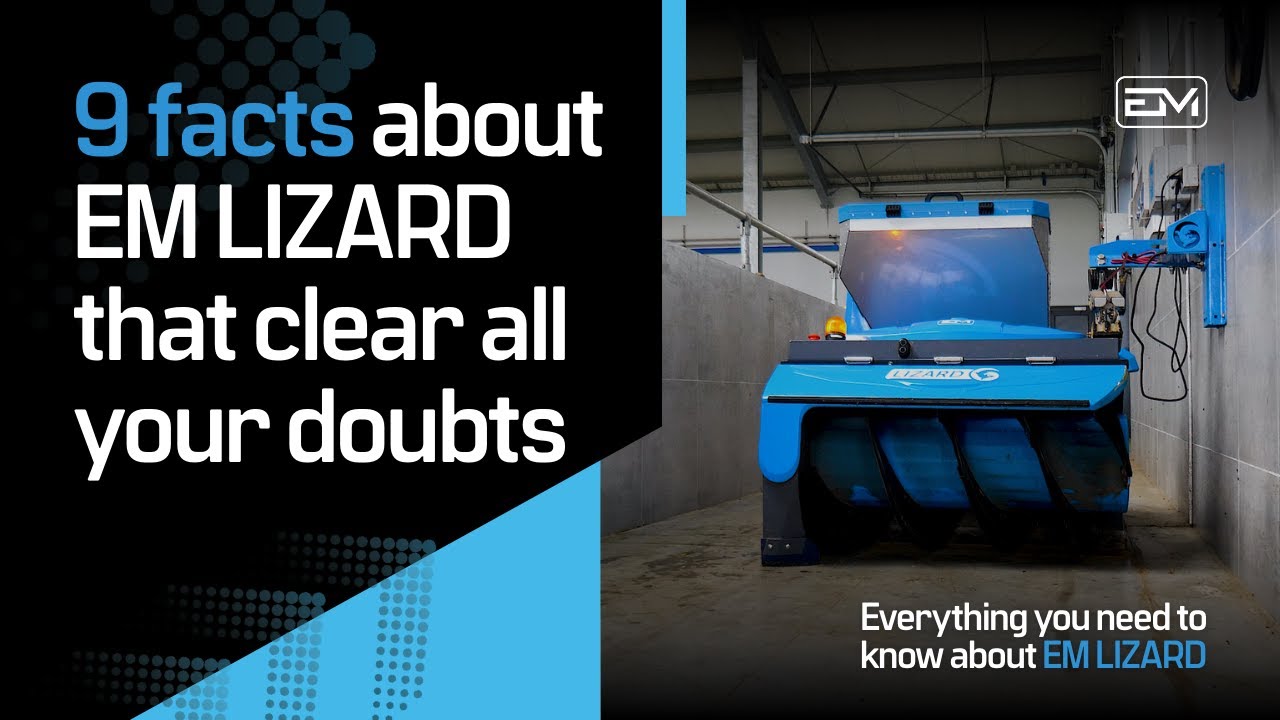 9 facts about EM LIZARD that clear all your doubts | Everything you need to know about EM LIZARD