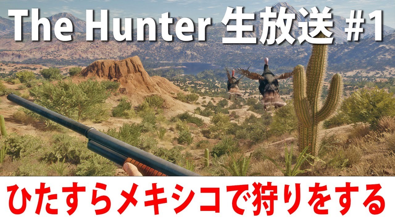 眠くなるまでひたすらメキシコで狩りをする生放送【The Hunter 生放送 #1】