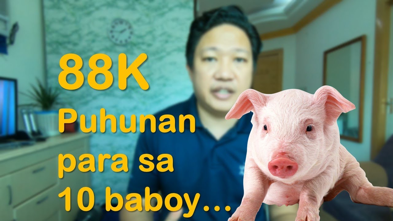 PIGGERY: Sapat na ba ang 88K para makapag-umpisa para sa sampung baboy?