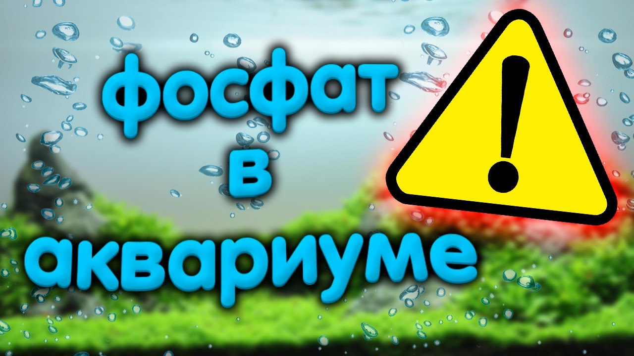 Фосфат или фосфор в аквариуме. Почему исчезает, пропадает, обнуляется фосфат, сколько его нужно.