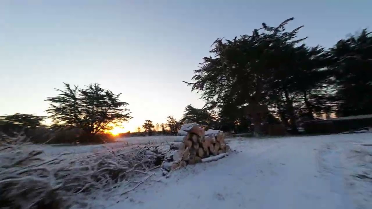 snow pavo 20 pro