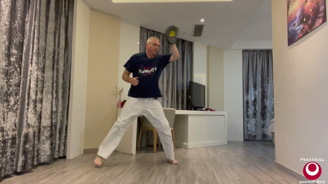 Kihon Solo Pad Drill for Low Block