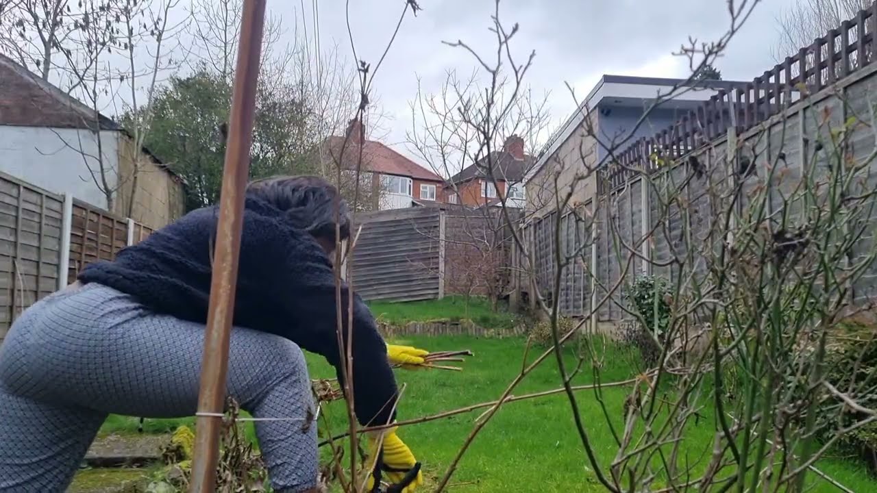 Getting the garden ready for new growth  and spring 