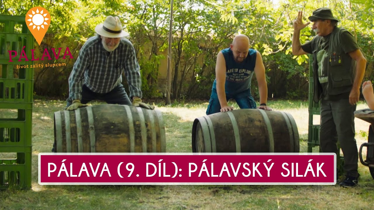 Pálava (9. díl): Pálavský silák