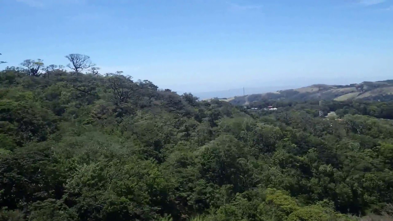 First Person zipline