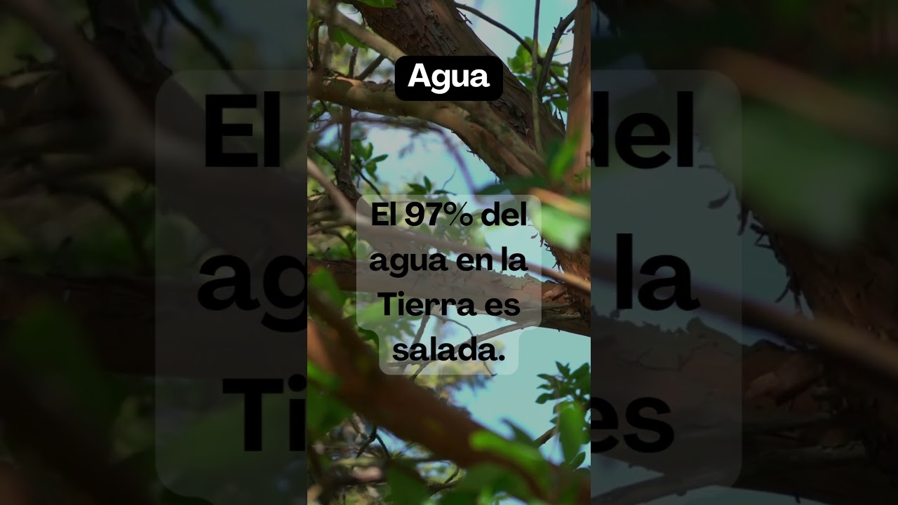 Agua