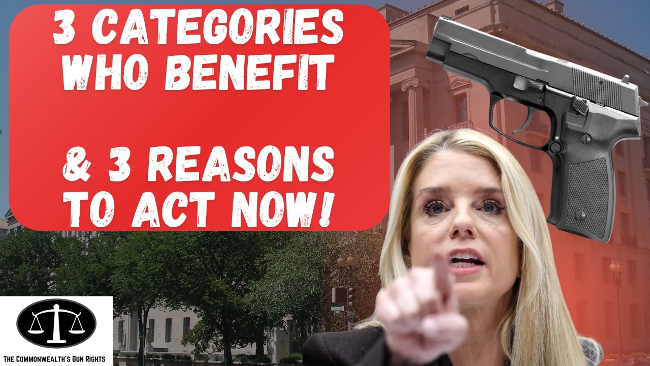 Fed. Gun Rights Restoration UPDATE