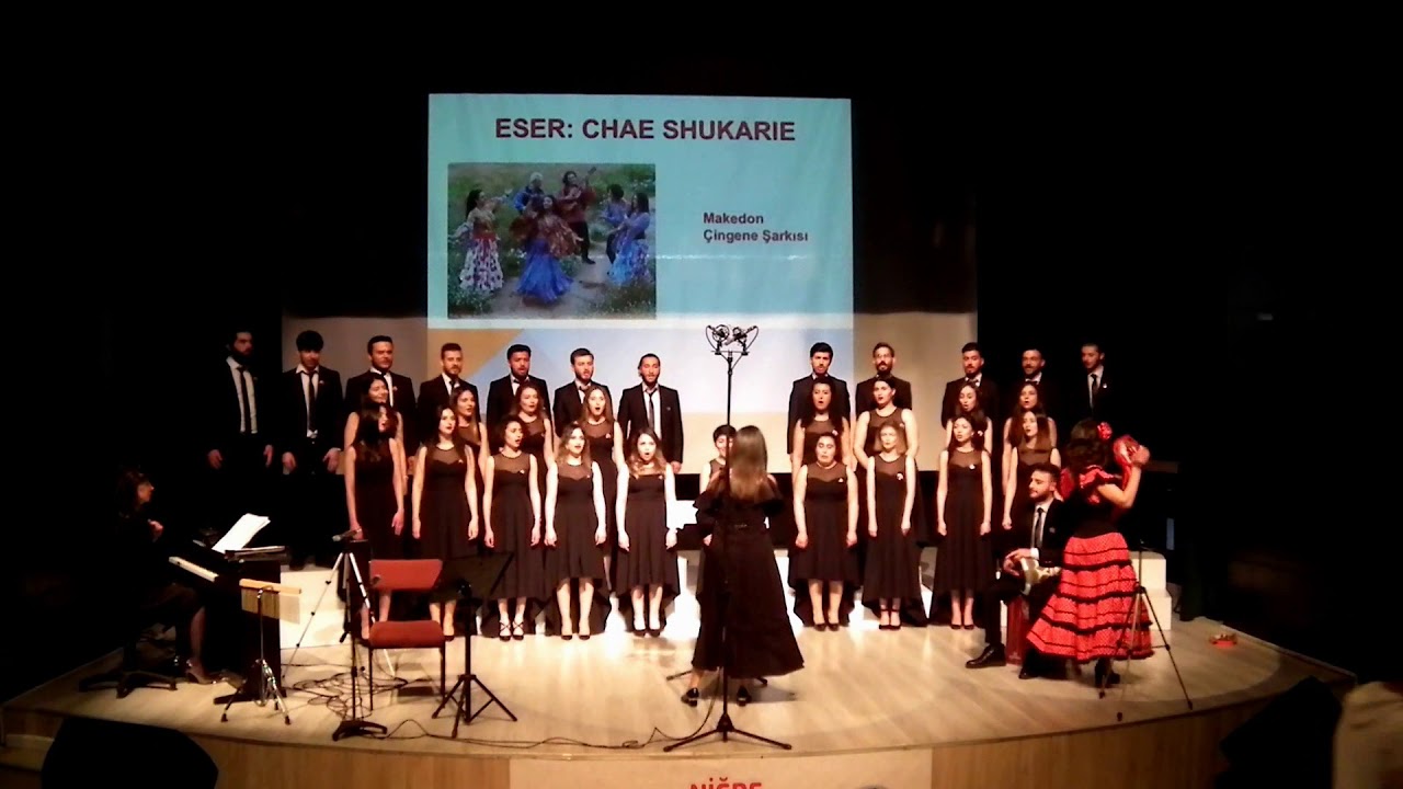Chae Shukarie