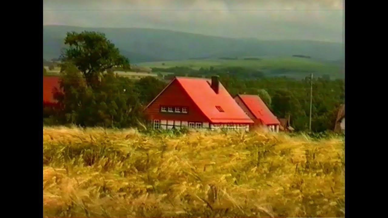 Teil 2/3  Rhüden/Harz - Das Dorf meiner Kindheit und Jugend - von Friedrich (Danny) Hildebrand