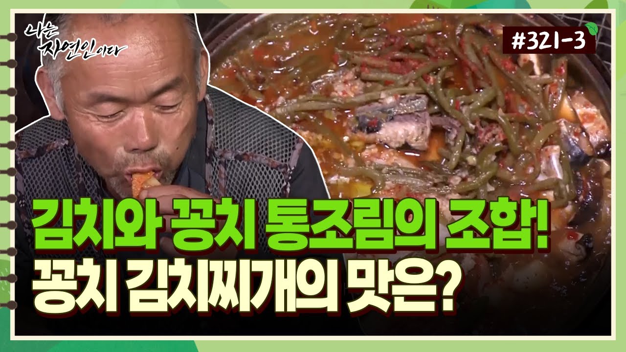 [자연인] 312-3 김치와 꽁치 통조림의 조합! 자연인 표 꽁치 김치찌개의 맛은?