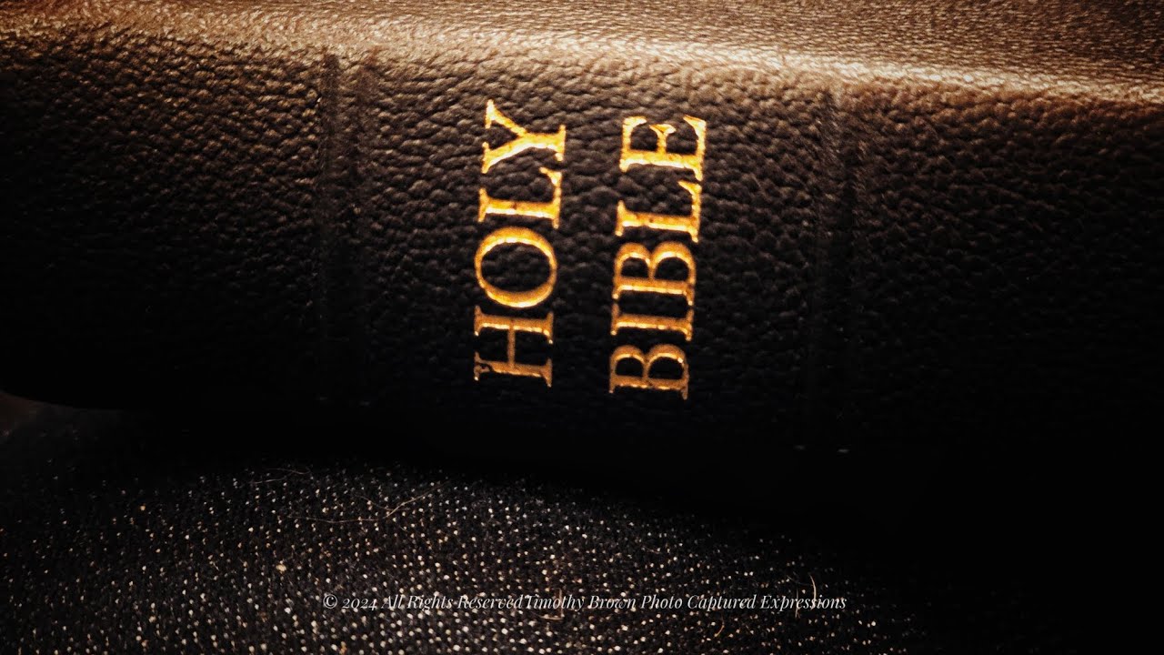 Bibles That Will Last! - Cambridge & TBS