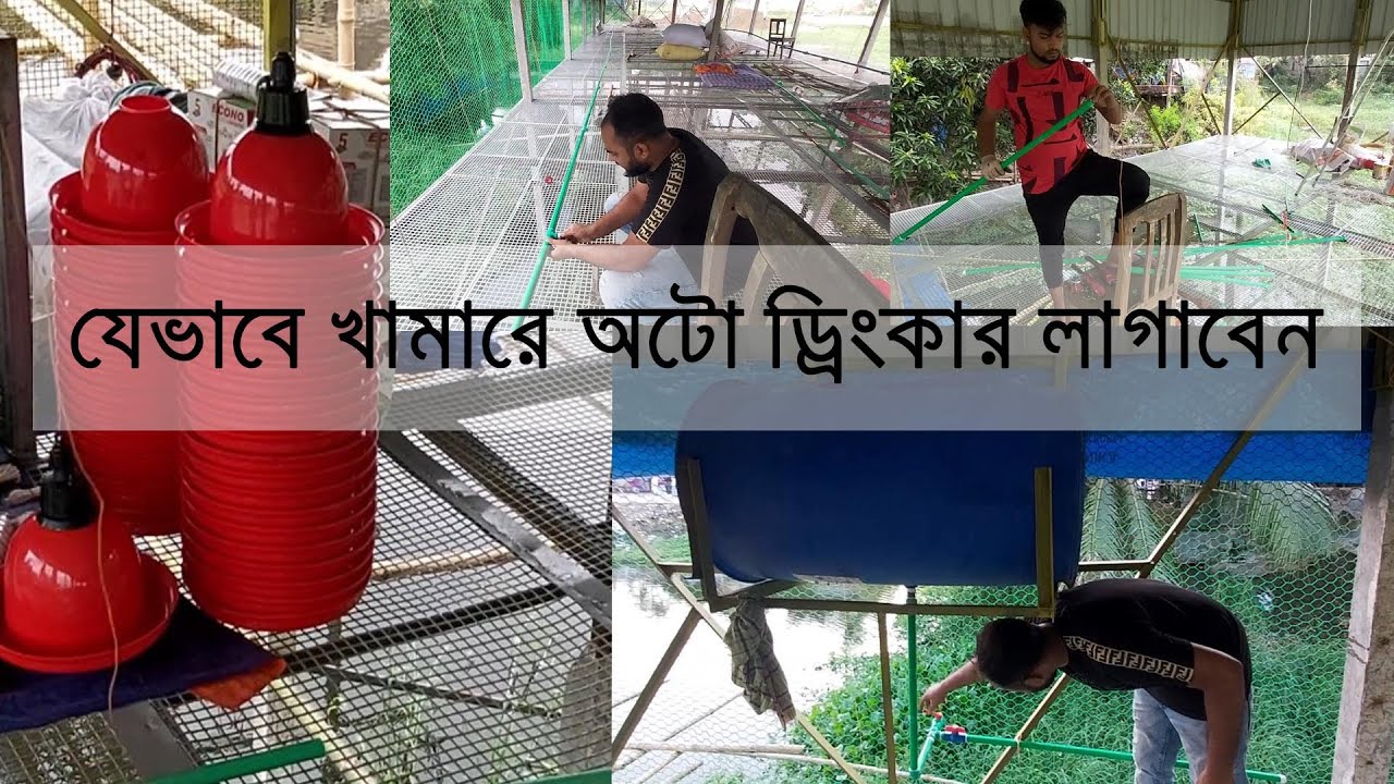 কীভাবে অটো ড্রিংকার পাইপ সেটআপ করতে হয়। 01715828031। How to set up auto drinkker Part-3(LAST PART)