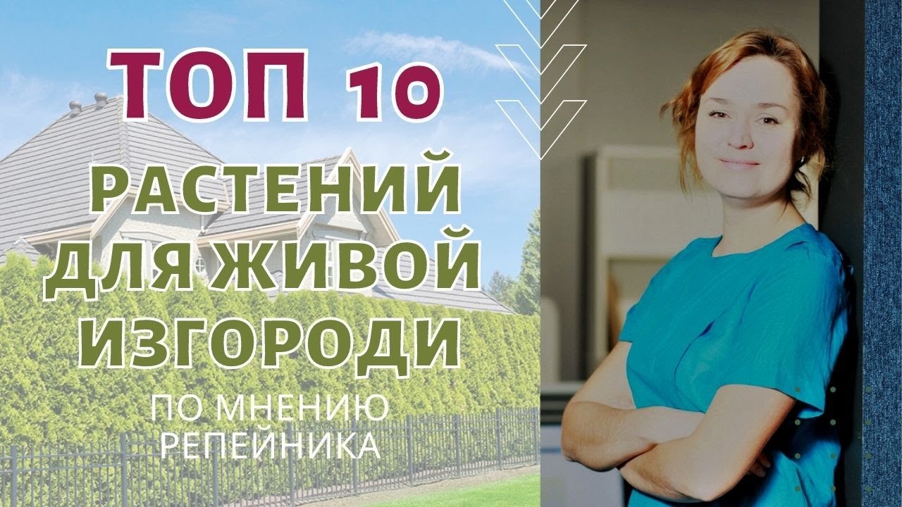 Топ 10 растений для живой изгороди. По мнению РЕПЕЙНИКА