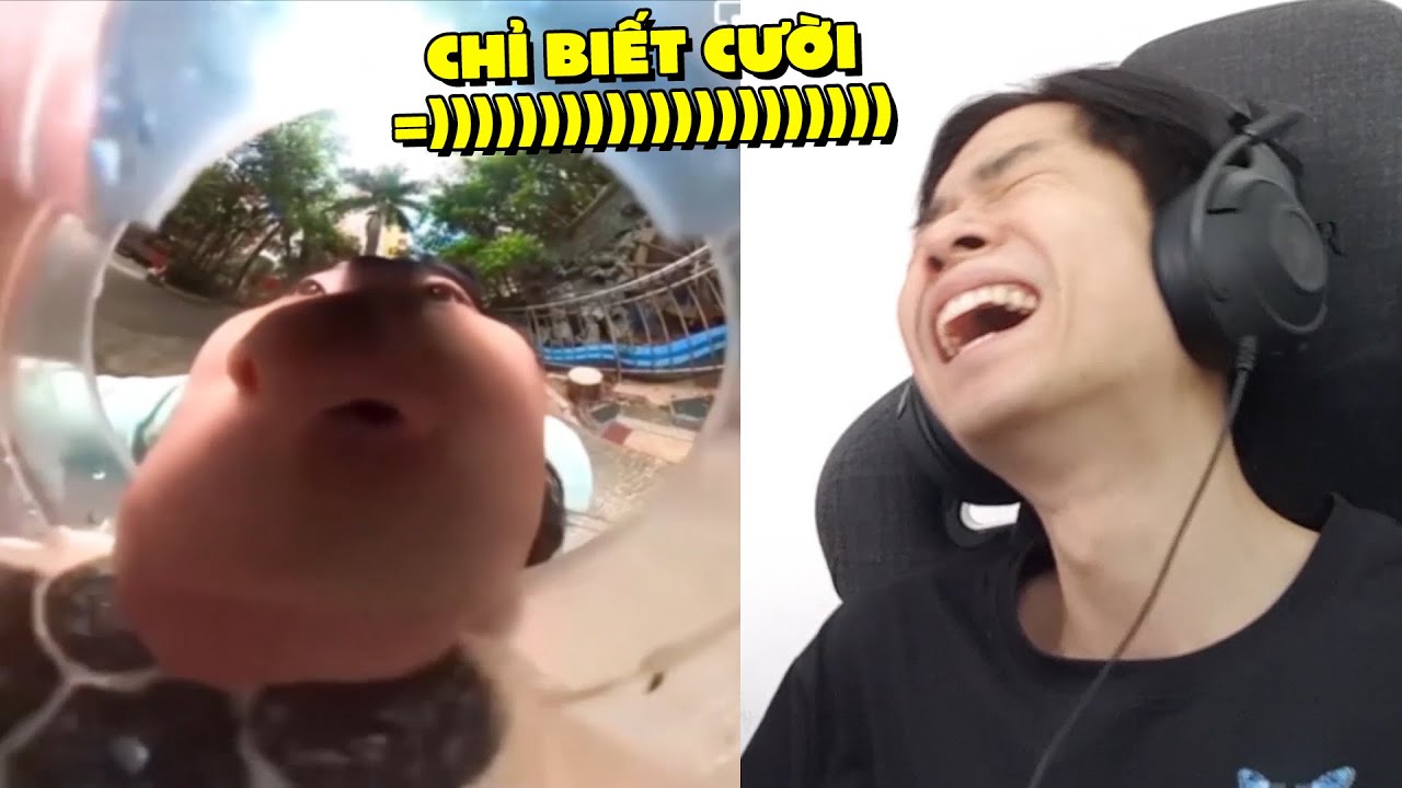 CHỈ BIẾT CƯỜI KHI XEM NHỮNG VIDEO NÀY !!! (Pobbrose TTCC Tập 106) ✔