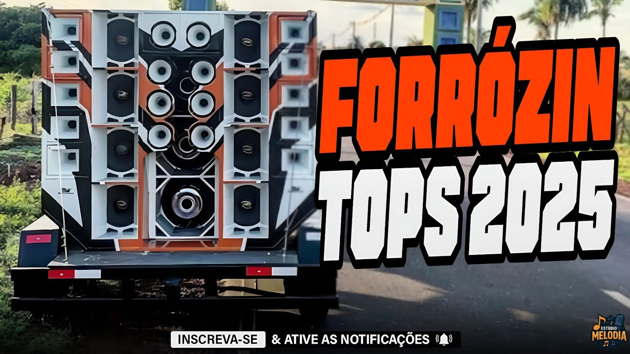 SELEÇÃO TOPS DO FORRÓ 2025 - MAIS TOCADAS DO FORRÓ 2025 - MELHORES DO FORRÓ 2025