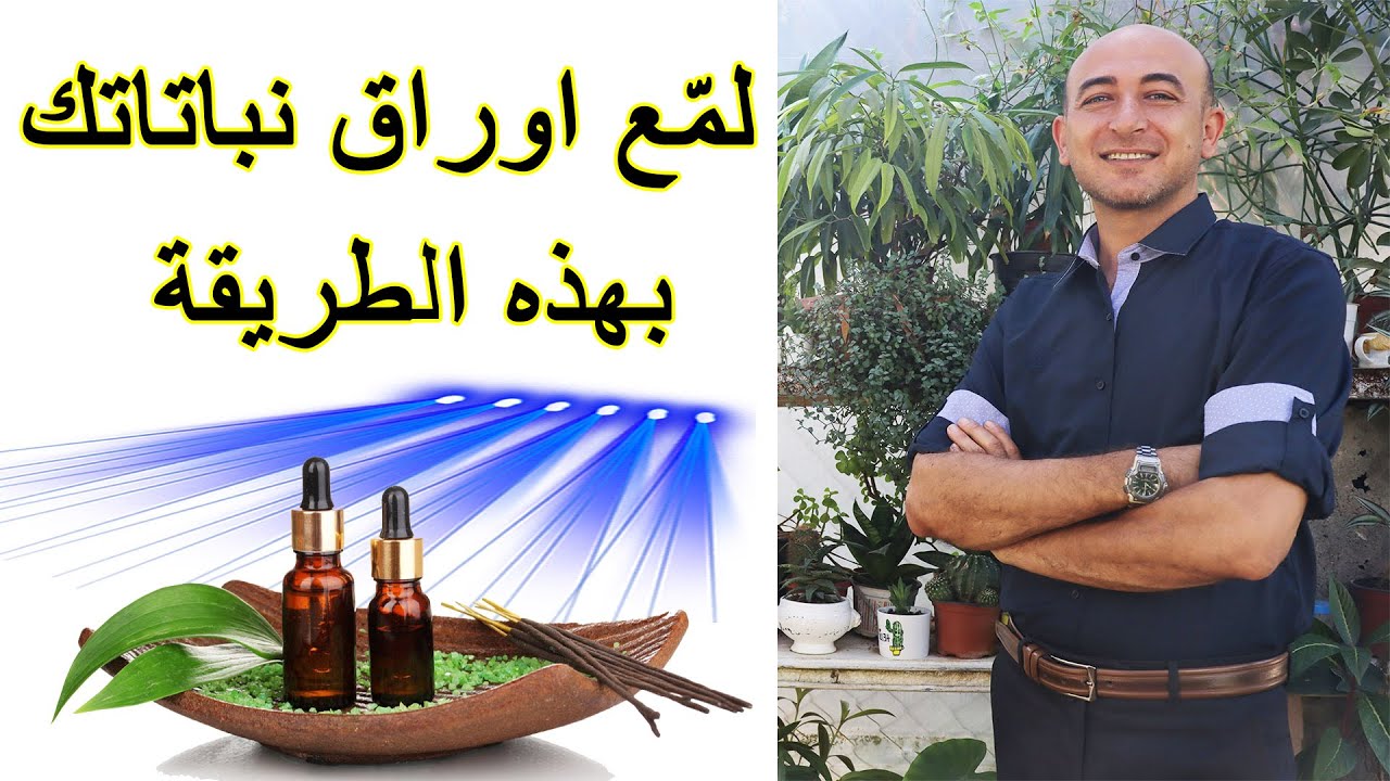 استخدام زيت الزعتر لتلميع اوراق النباتات و مبيد حشري و معطر للجو في وقت واحد