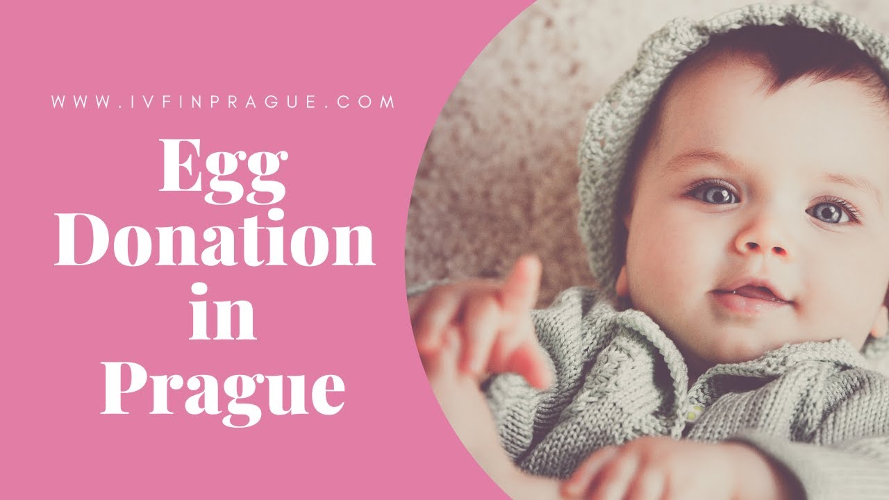 Egg Donation in Prague, Czech republic - Best Egg Donor Clinic in Europe