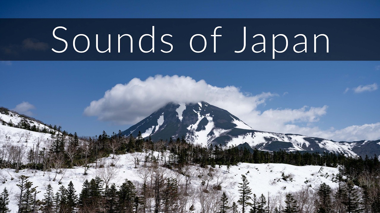 Wild Japan soundscape - Wind and birdsong