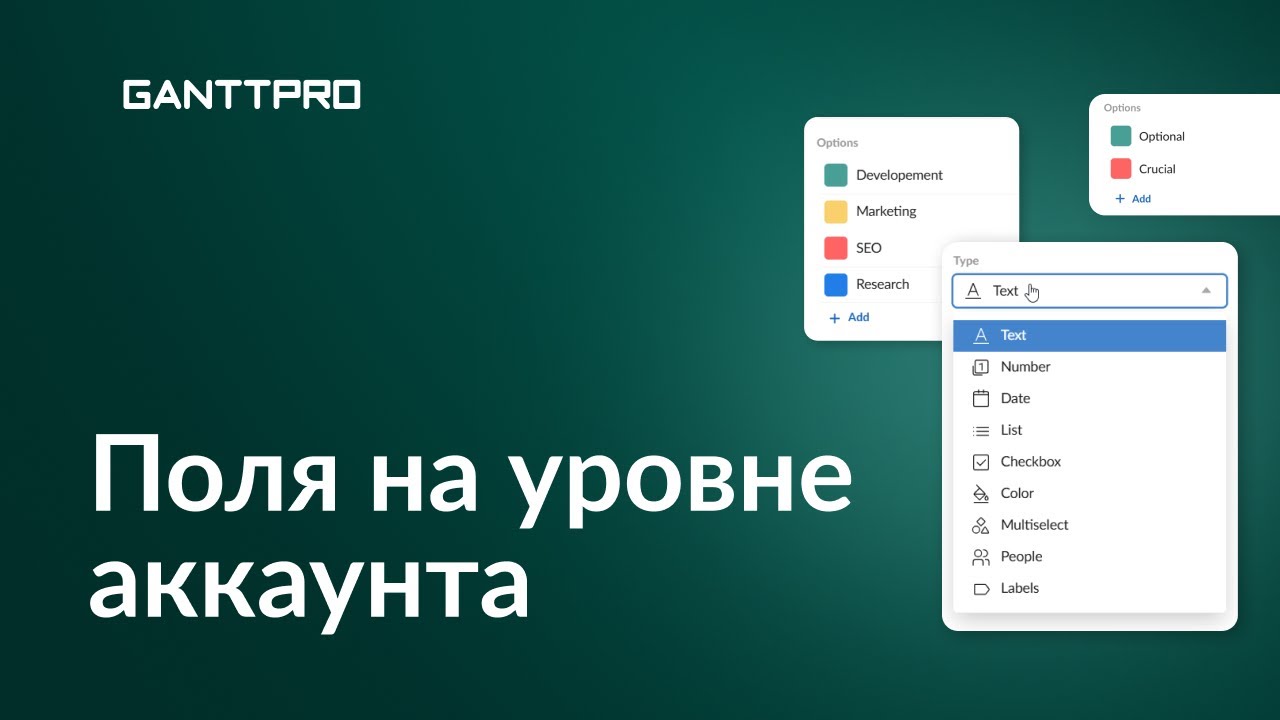 Как работать с настраиваемыми полями на уровне аккаунта в GanttPRO