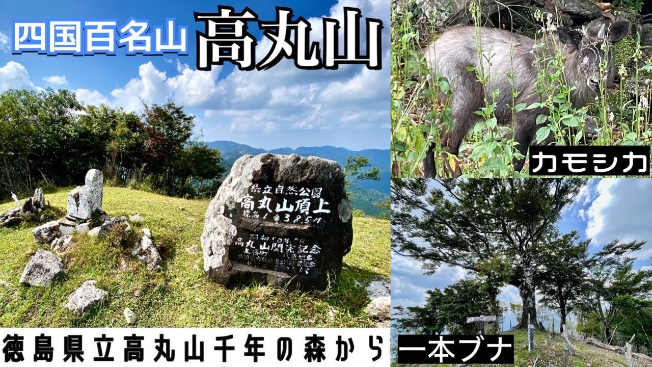 剣山系東部の名峰【高丸山】