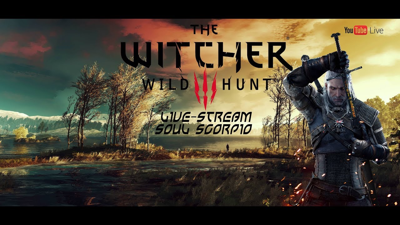 The Witcher 3 Wild Hunt, Story, Quests, Contracts, Sidequests, and Exploration.