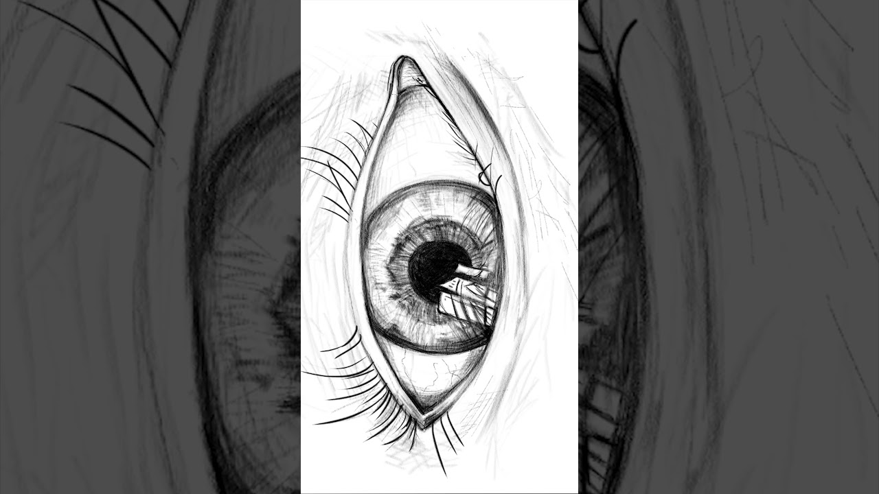 Fantastic eye drawing. Our drawing course continues 