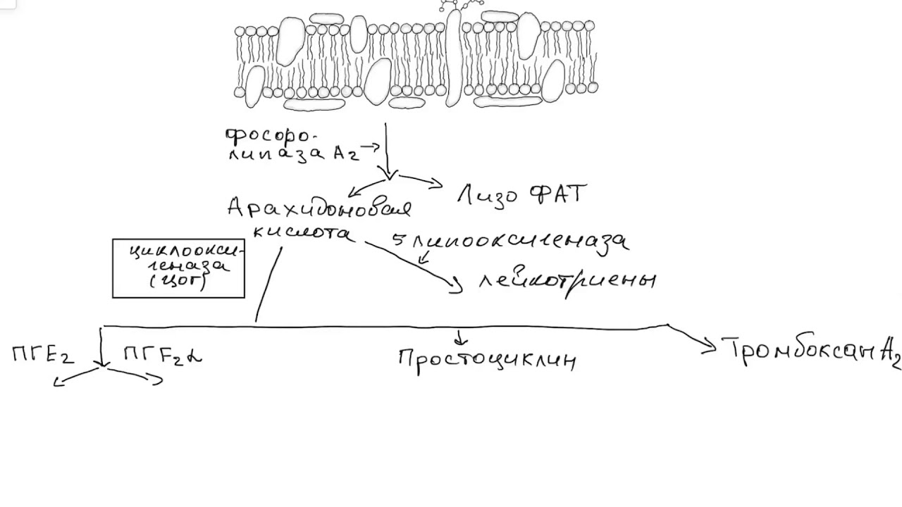 Нестероидные противовоспалительные средства (НПВС).