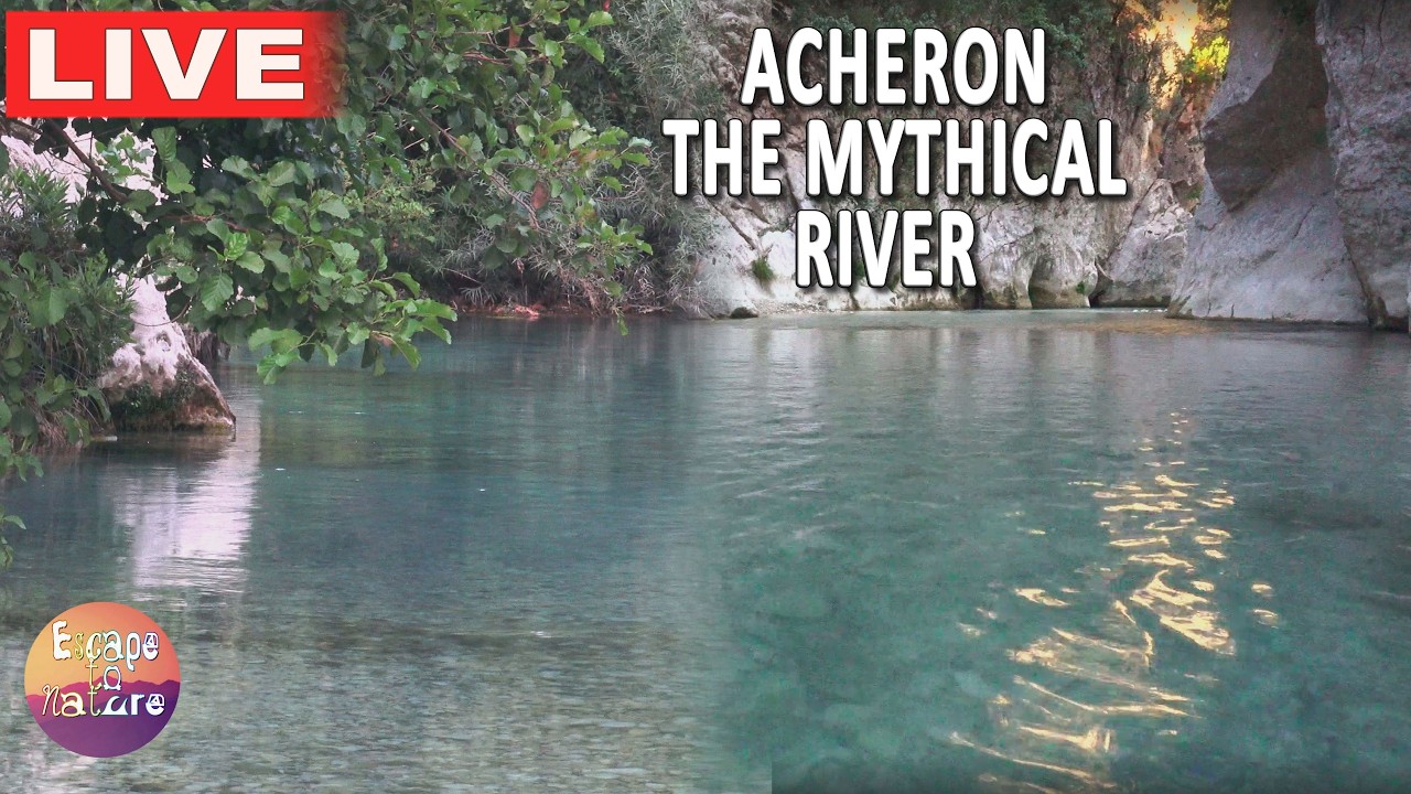 🔴Immersive canyon echoes and turquoise water ripples at the Acheron river gateway - Songbird Harmony