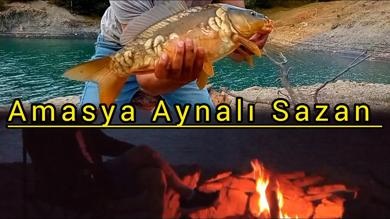 Amasya Balık Avı ve Kamp (Aynalı Sazan)