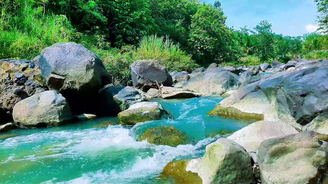Live 24/7 Tranquil River Flow – Relaxing Water Sounds & Green Noise for Sleep & Calm