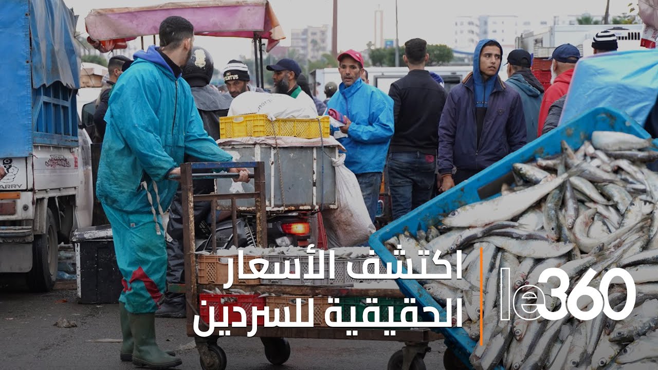 "مول الحوت" يخلق الجدل.. والمهنيون يؤكدون استحالة بيع السردين بـ5 دراهم للكيلوغرام"