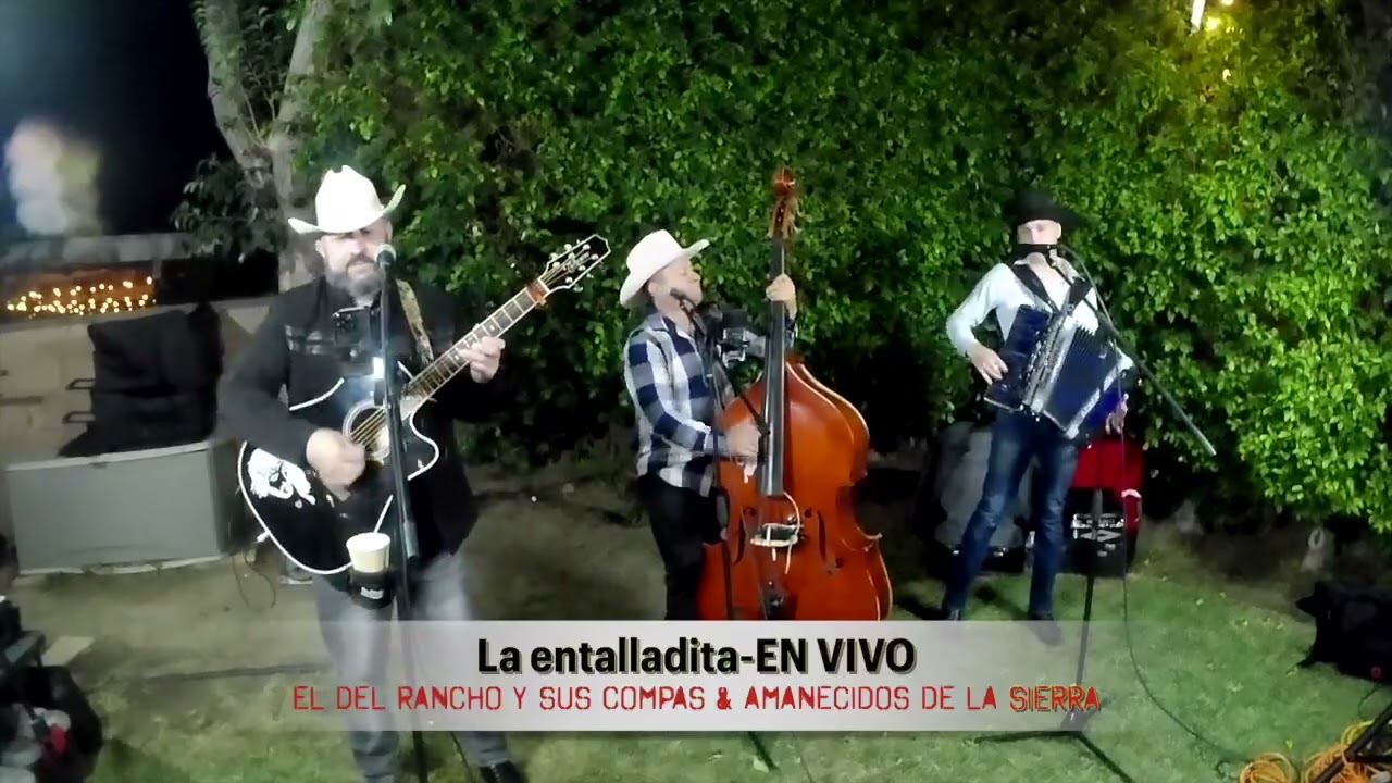 El Del Rancho Y Sus Compas - La Entalladita #chirrines #musicasierreña #tololoche #nortenos