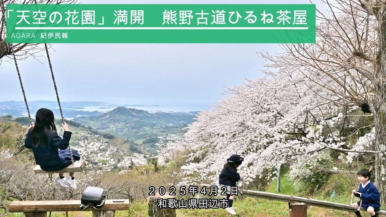 「天空の花園」満開　熊野古道沿い「ひるね茶屋」