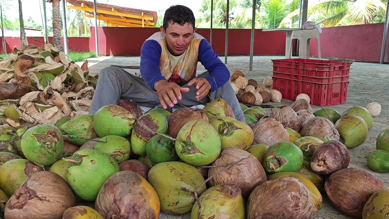 Desabafo do Fábio Santos, de Não Gravar Algumas Feiras 