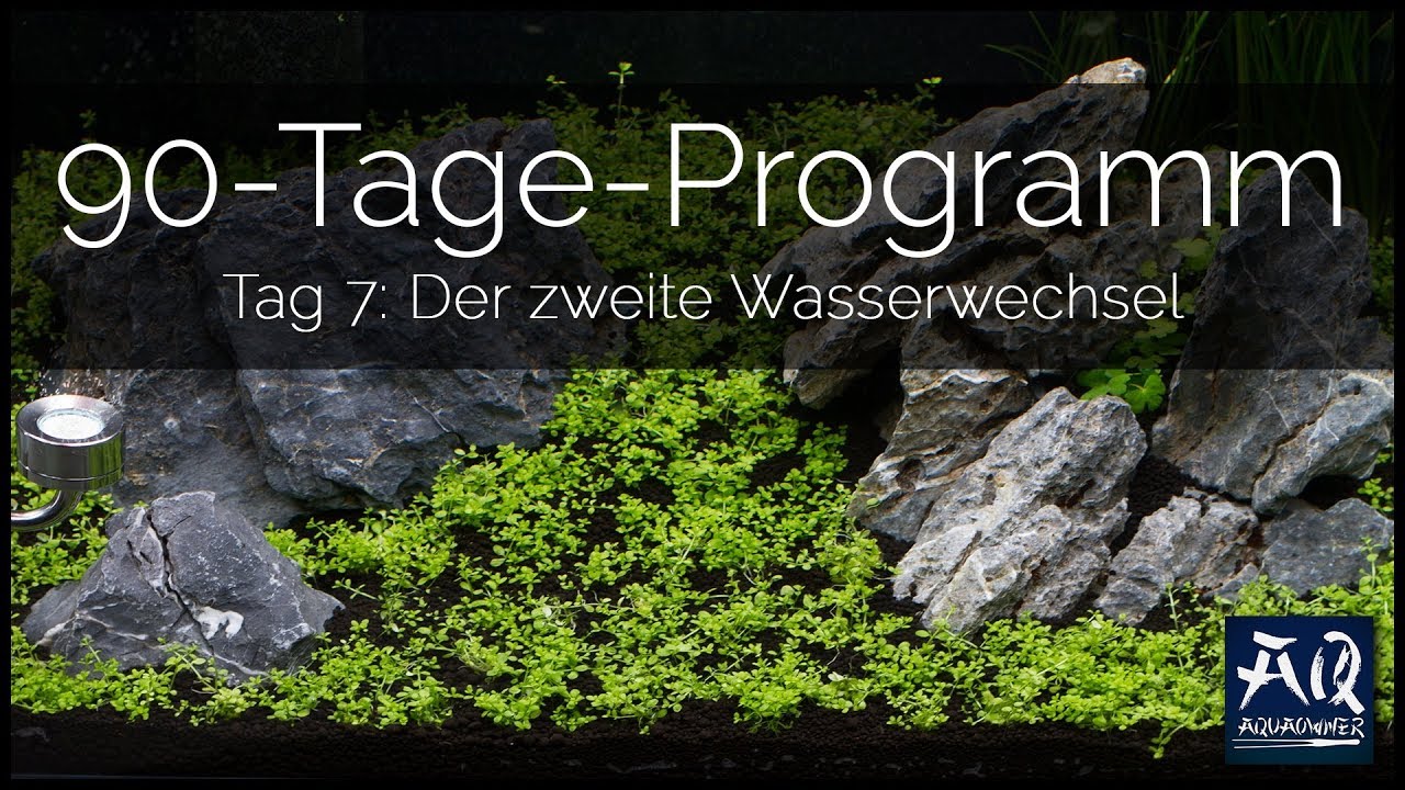 Tag 7 (Tropica 90-Tage-Programm): Zweiter Wasserwechsel | AquaOwner