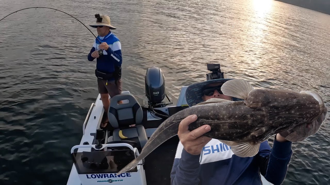 Fishing for Flathead with Lures in Lake Macquarie