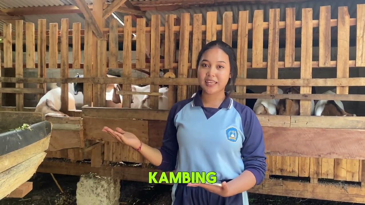 TUGAS PRAKTIK PROYEK PEMBERDAYAAN KOMUNITAS LOKAL KELAS 12.6                        