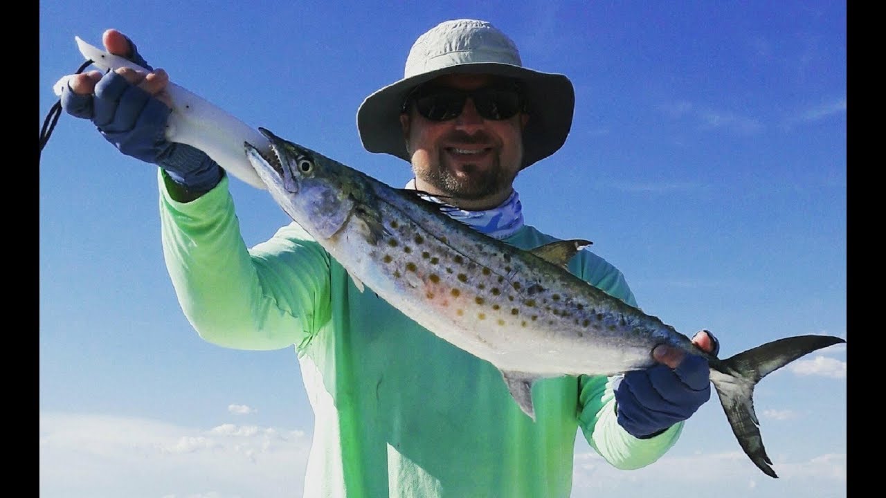 How to catch Spanish Mackerel - Where, how, and best lures for mackerel