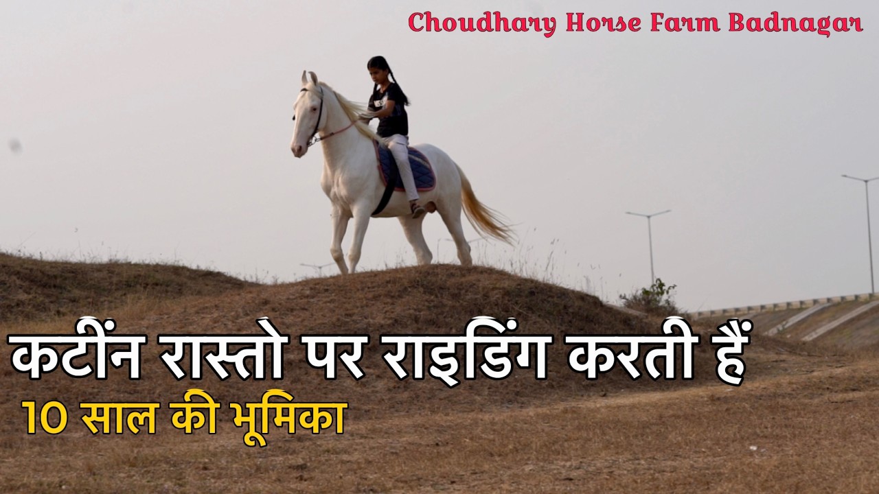 मेलो में ग्राहको की - कमी सोशल मीडिया से घर से बिक जाते है हमारे अश्व