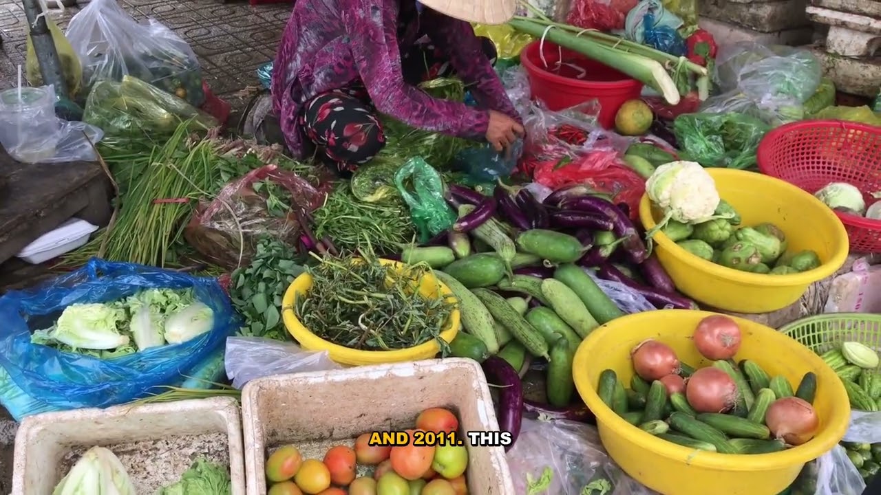Myitkyina: The Capital of Kachin State Explained