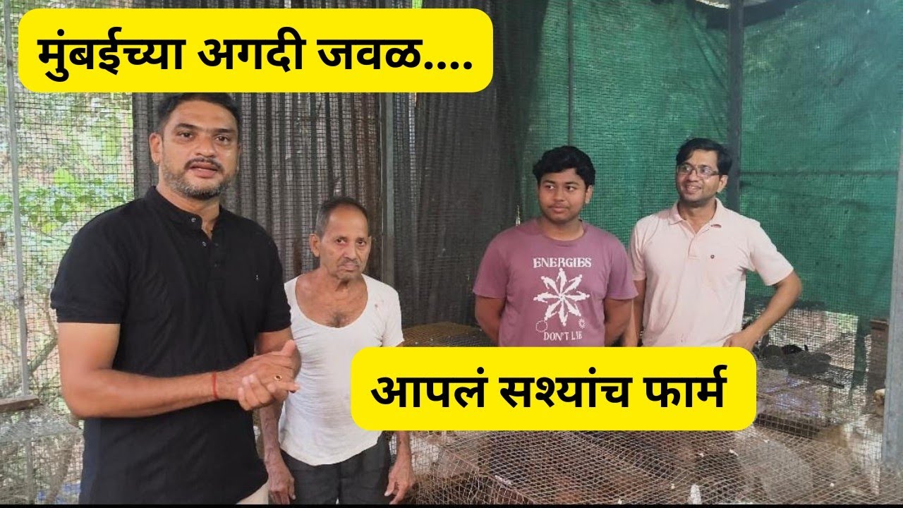 वसई गावात.. आपलं सशांचं फार्म #rabbitfarming #rabbit #ससेपालन #kokan #bunny #farming #rabbitry #yt 