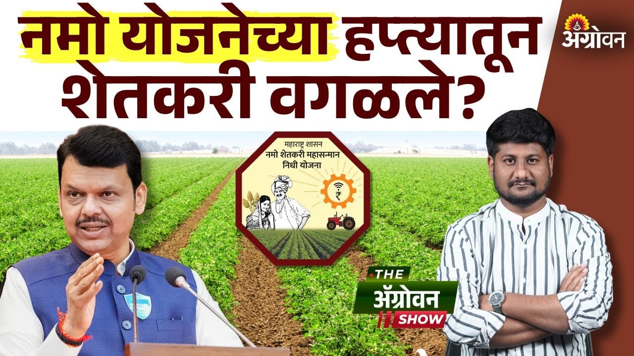 Namo Installment : नमोच्या ८ व्या हप्त्यासाठी किती शेतकरी पात्र आहेत? | Agrowon