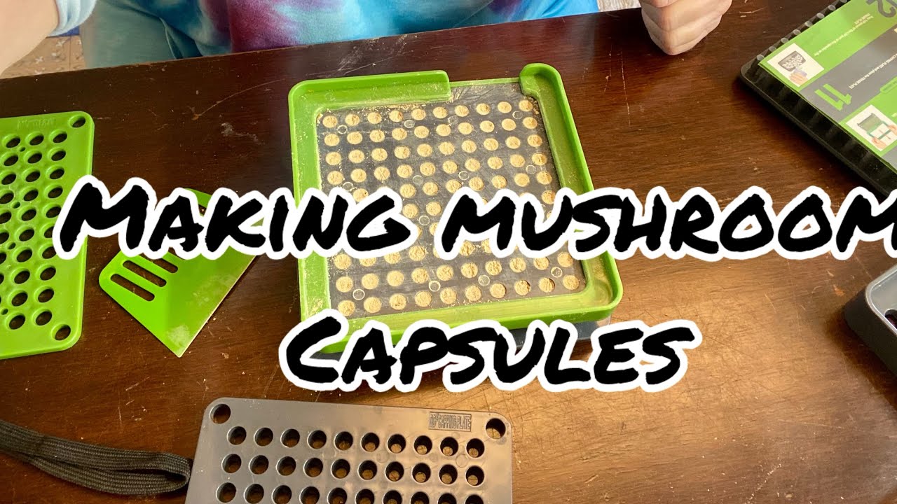 Making Lion’s Mane Capsules