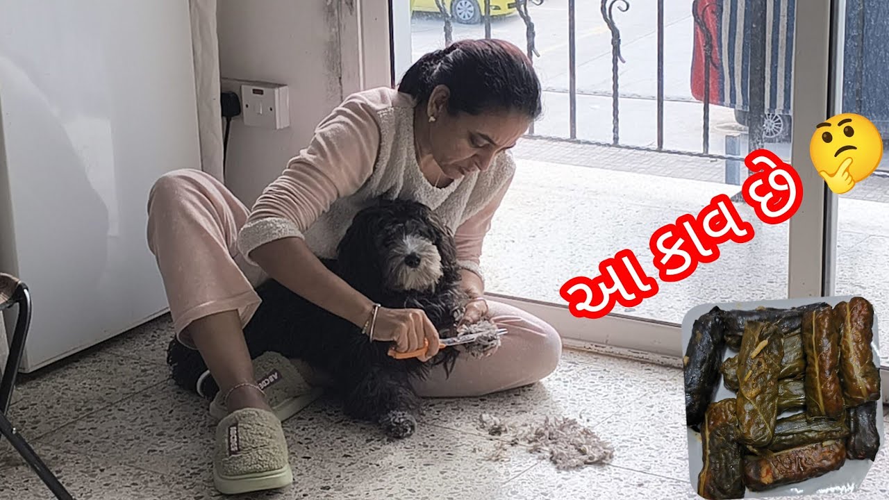 આજે જુલી ના હેર કટ કરા 👈
