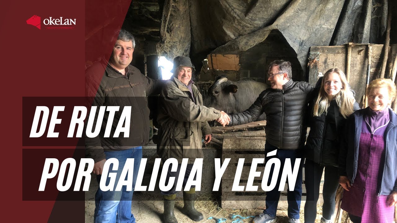 Bonito y productivo viaje por Galicia, con parada en León, siempre buscando y eligiendo lo mejor 👌
