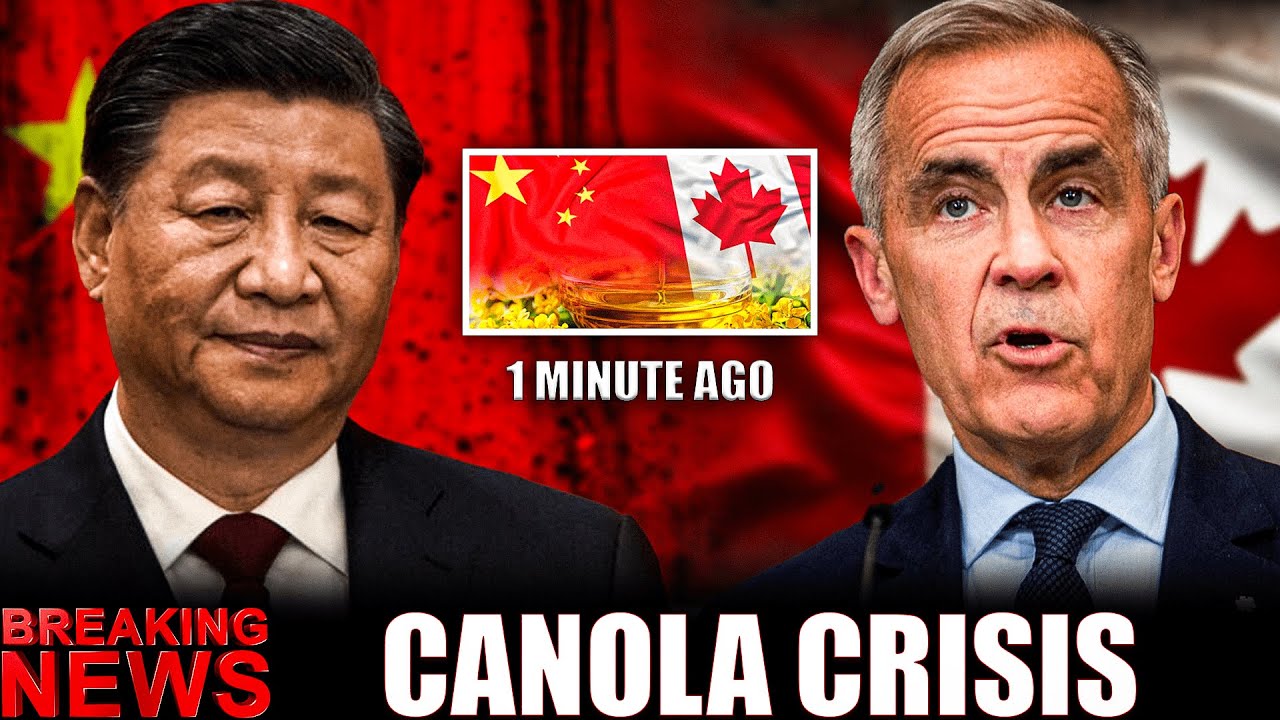 China SLAMS Canada with 75.8% Canola Tariff — Farmers Face Economic Disaster