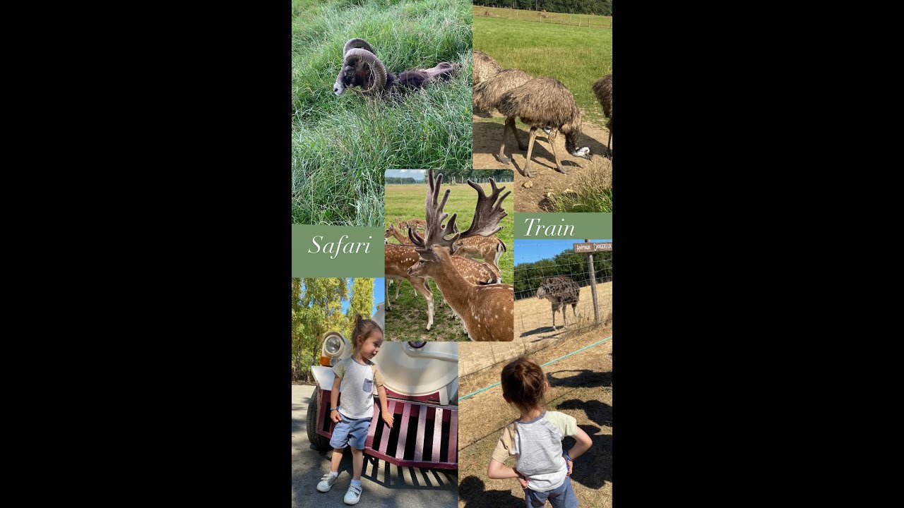 SAFARI TRAIN ;)