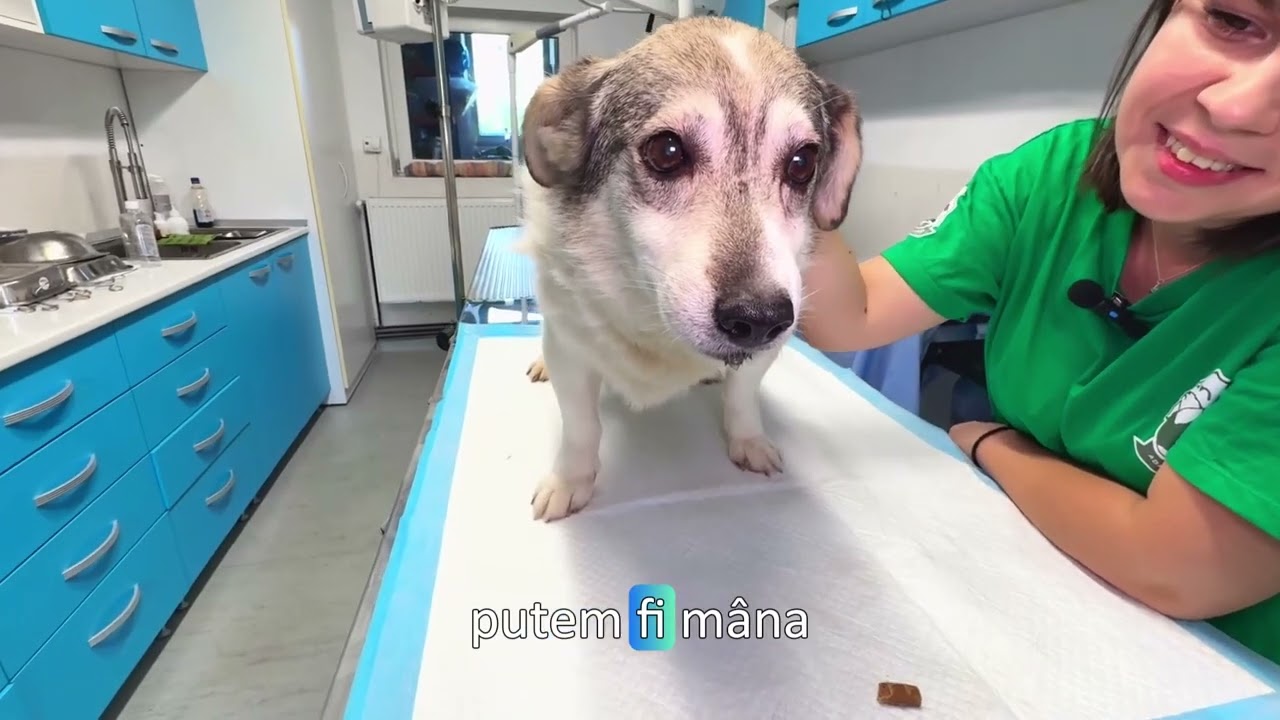 Pentru ei, fiecare lună contează.